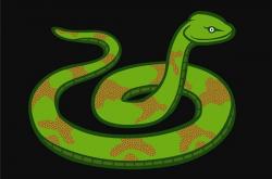 属蛇的六合属相是什么