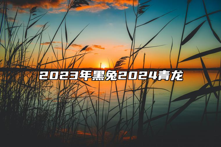 2023年黑兔2024青龙 黑兔年大灾难来源