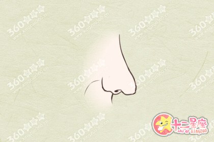 面相图解10种最有福气的鼻子长什么样