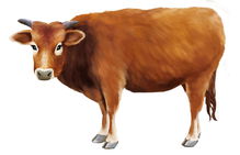 1973年属牛的今年多大