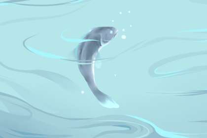 梦到巨大鲸鱼跃出水面